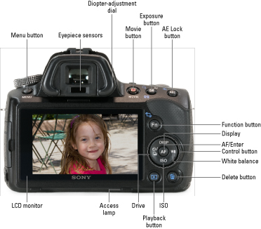 For information on sony warranties. Sony Alpha Slt A35 A55 For Dummies Cheat Sheet Dummies