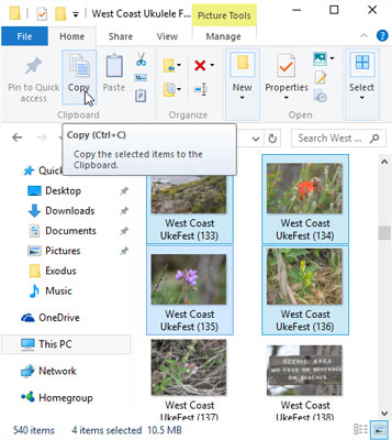 How To Cut Copy And Paste In Windows 10 Dummies
