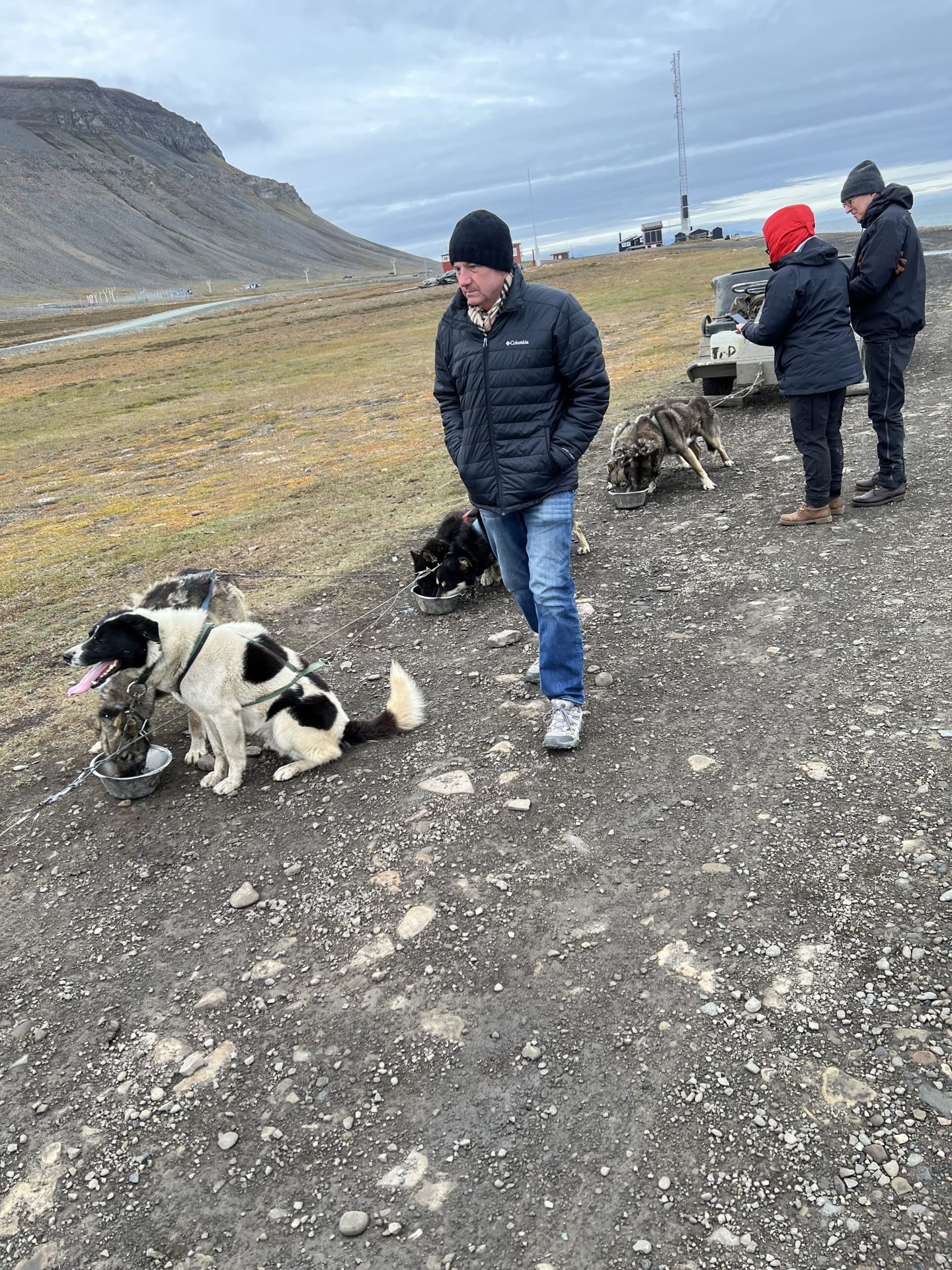 Dogs getting watered after dog sledding
