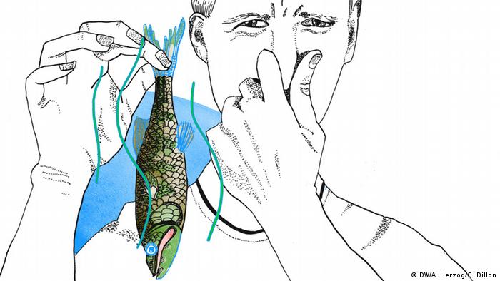 Original Illustrations Of Our Favorite German Proverbs