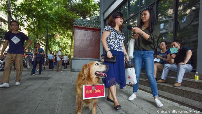 China Hochschulaufnahmeprüfung Gaokao (picture-alliance/dpa/W. Huan)