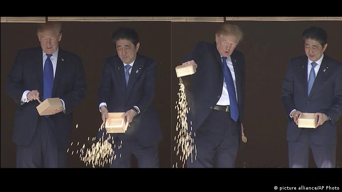 Japan Asien-Reise des US-Präsidenten | Koi-Fütterung (picture alliance/AP Photo)