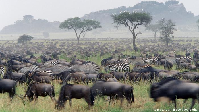 The Most Beautiful African National Parks Dw Travel Dw