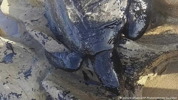 Source Of Vast Oil Spill Covering Brazil S Northeast Coast