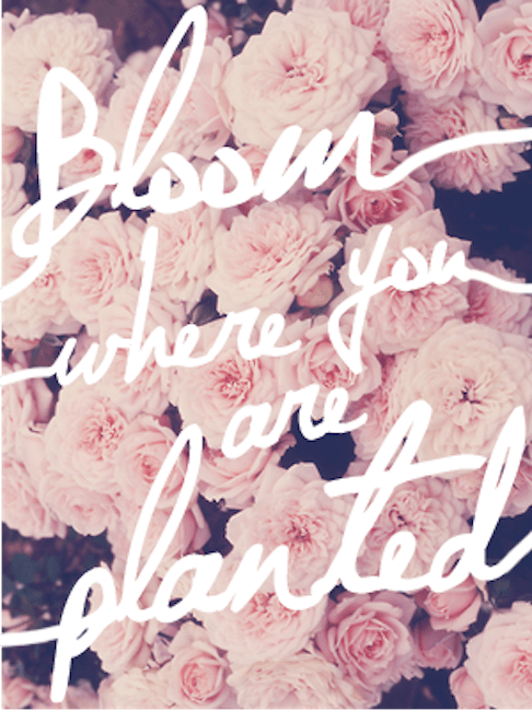 printable quote