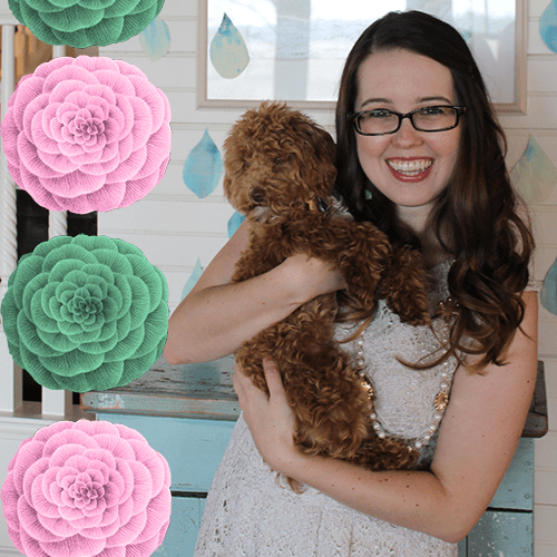 tour through blogland