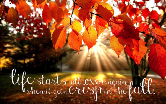 crisp fall