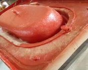 rtm composite manufacturing rtm composite mold