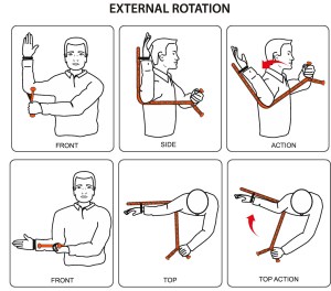 The Rotator (Demonstrating External Rotation)