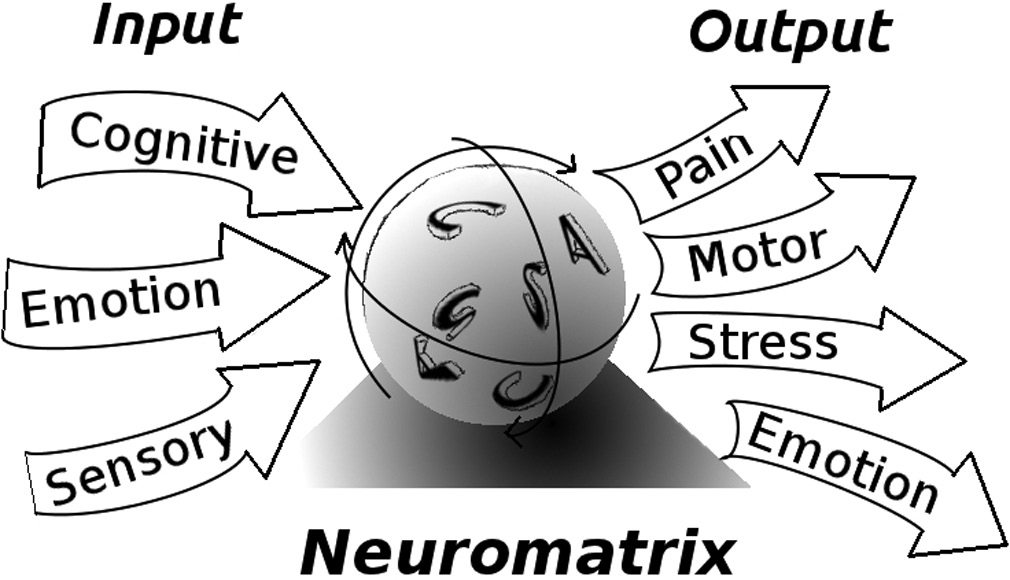 Neuromatrix