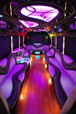 LimoBus Back Design LimoBus Back Design