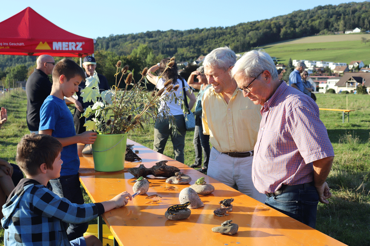 Hcc tier is assigned to each beneficiary generally based on the. Birmenstorf: Informationsanlass Â«Feld GrosszelgÂ» der IG