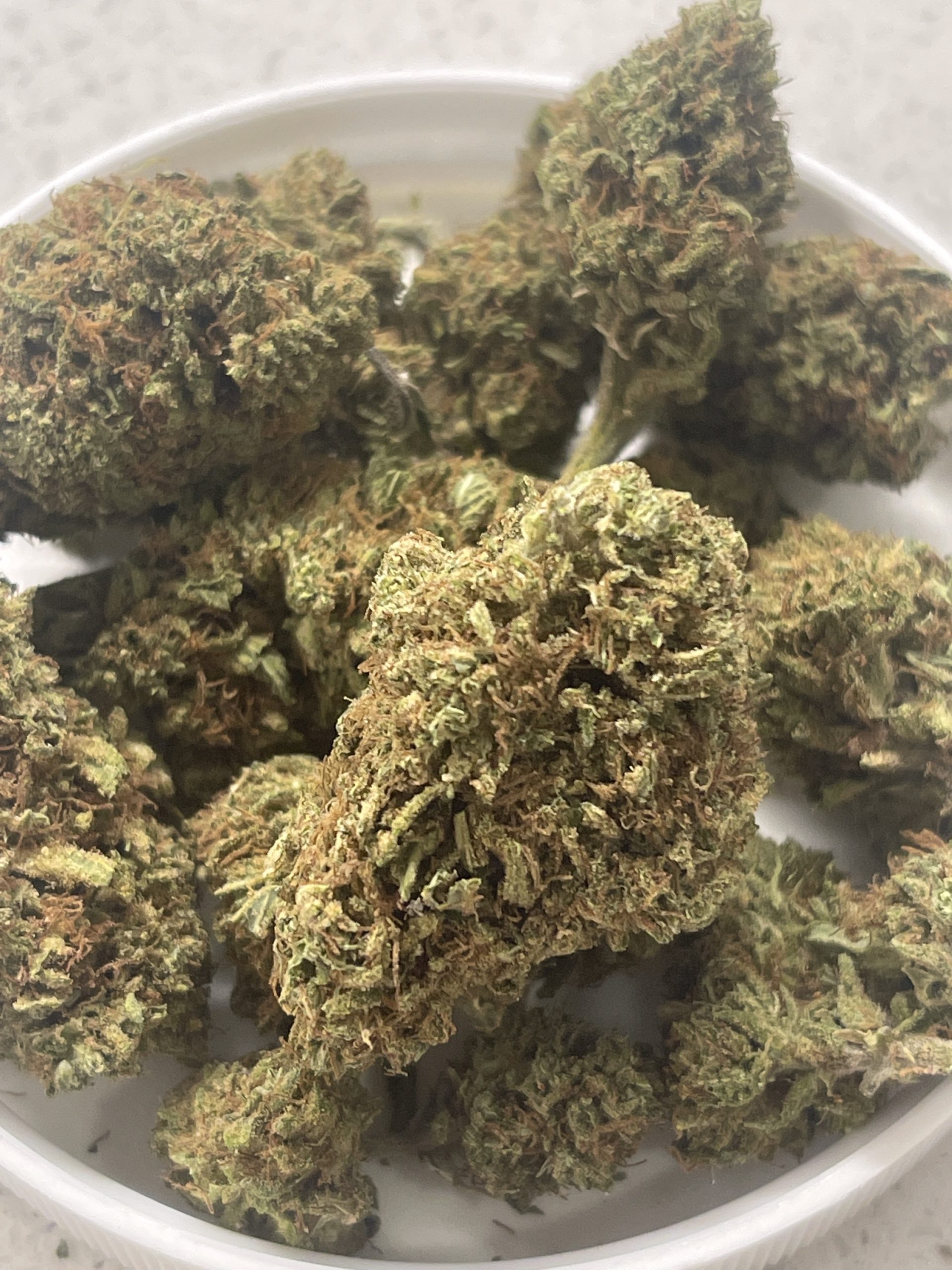 Jack Herer (Sativa) 3.5G