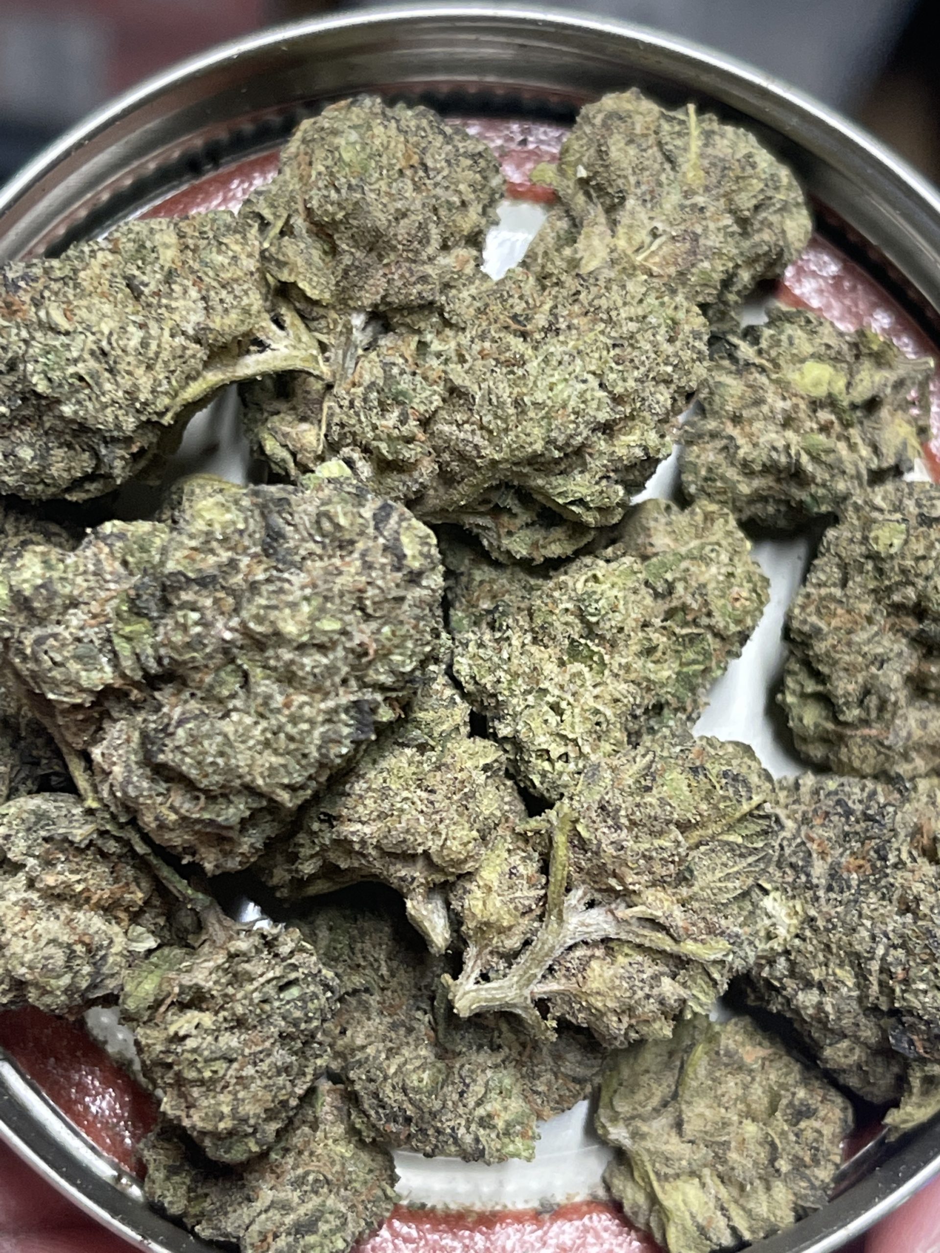 Strawberry Gary (Sativa Hybrid) 3.5G