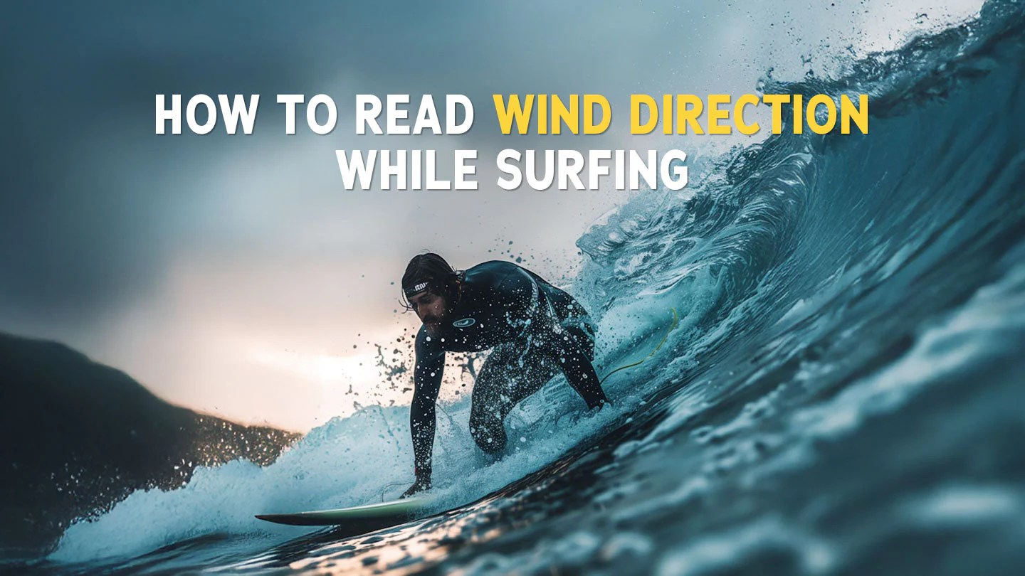How To Read Wind Direction While Surfing For Better Waves Liquidpro