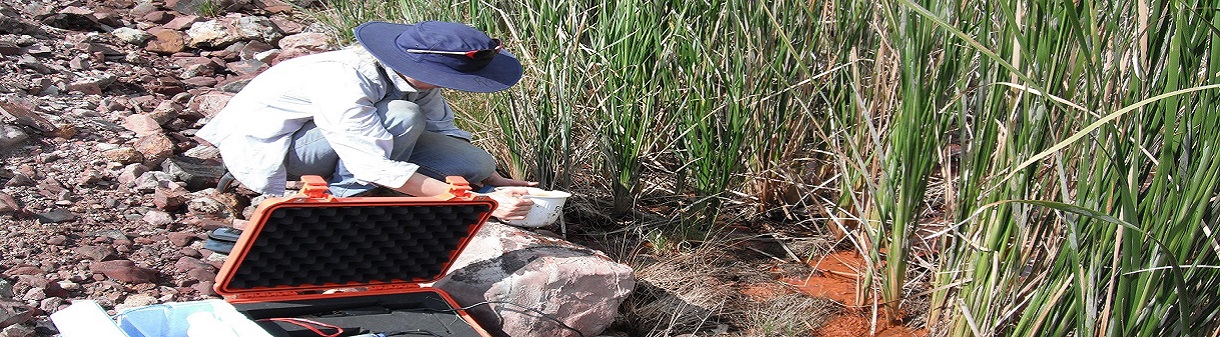 Water Quality Monitoring