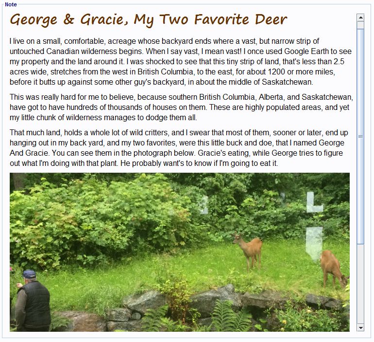 Notes Window - Premium City Photo Gallery - 4K