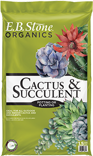 I like to use the miracle gro succulent and cacti mix. Cactus Succulent Mix Eb Stone Son Inc