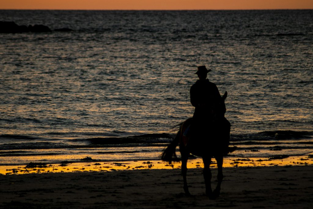 The bush dynasty: a political powerhouse in the shadows?