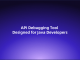 Api Debugging Tool Designed For Java Developers