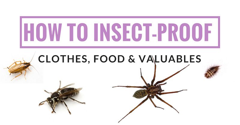 Say no to bugs! how to get rid of bugs in clothes etc.