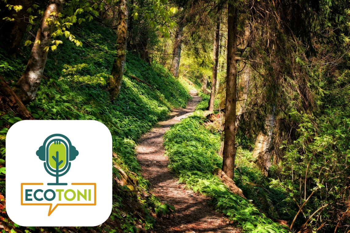 Ecotoni