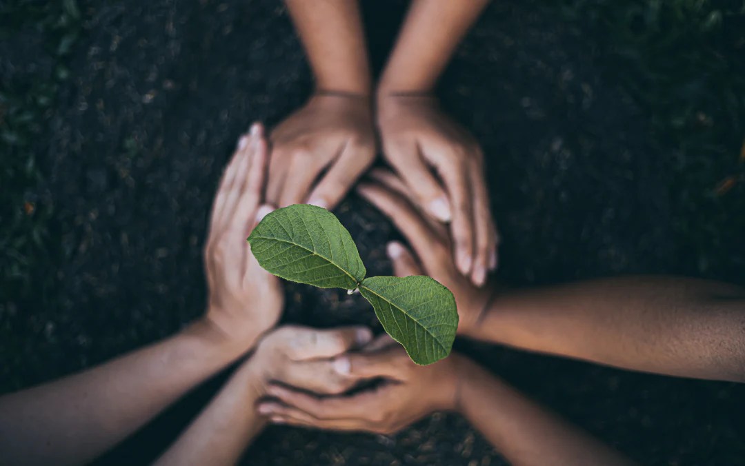 Understanding Sustainability Ecopackables