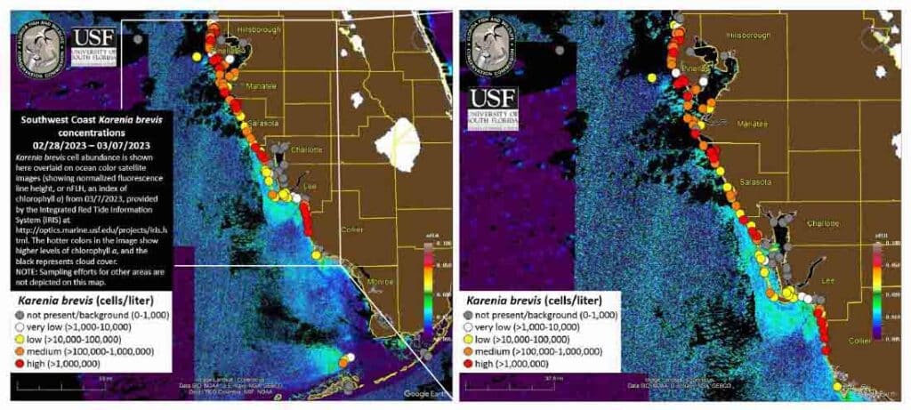 Red Tide Florida Map.