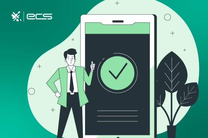 Instant bank verification