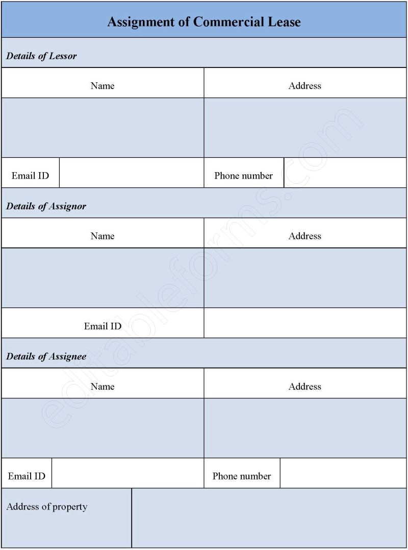 Assignment Of Lease Free Download - Light Arts - Amazing 4K Collection