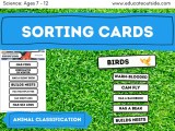 Animal Classification Activity Classification Sorting Cards