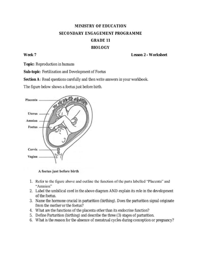 grade 11 worksheets biology