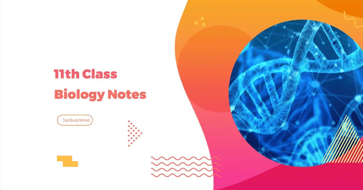 Biology Class 11th Short Notes download for free