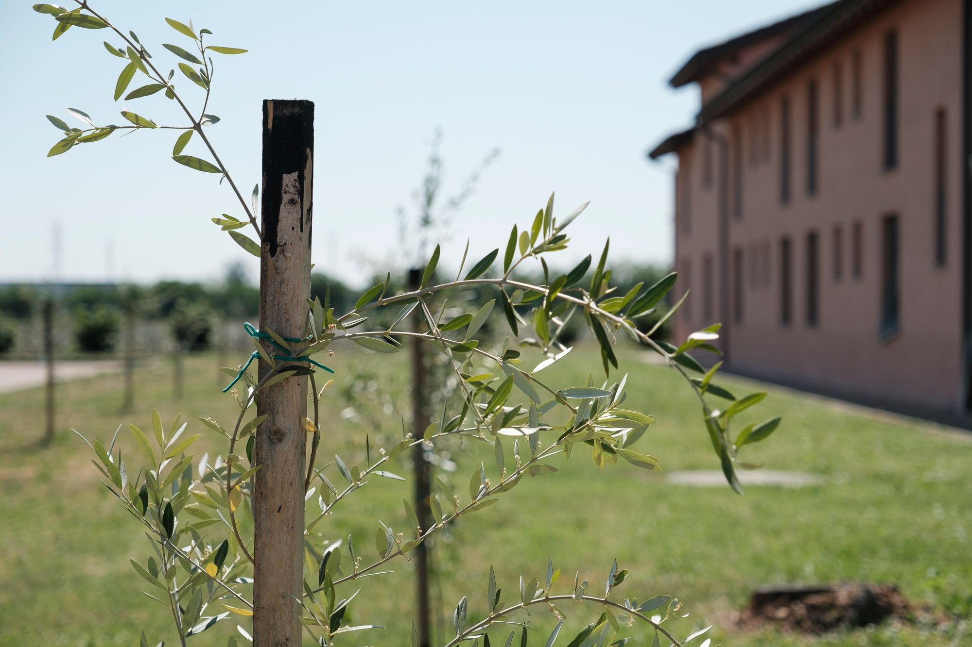 Orto didattico – Residenza Gasparini