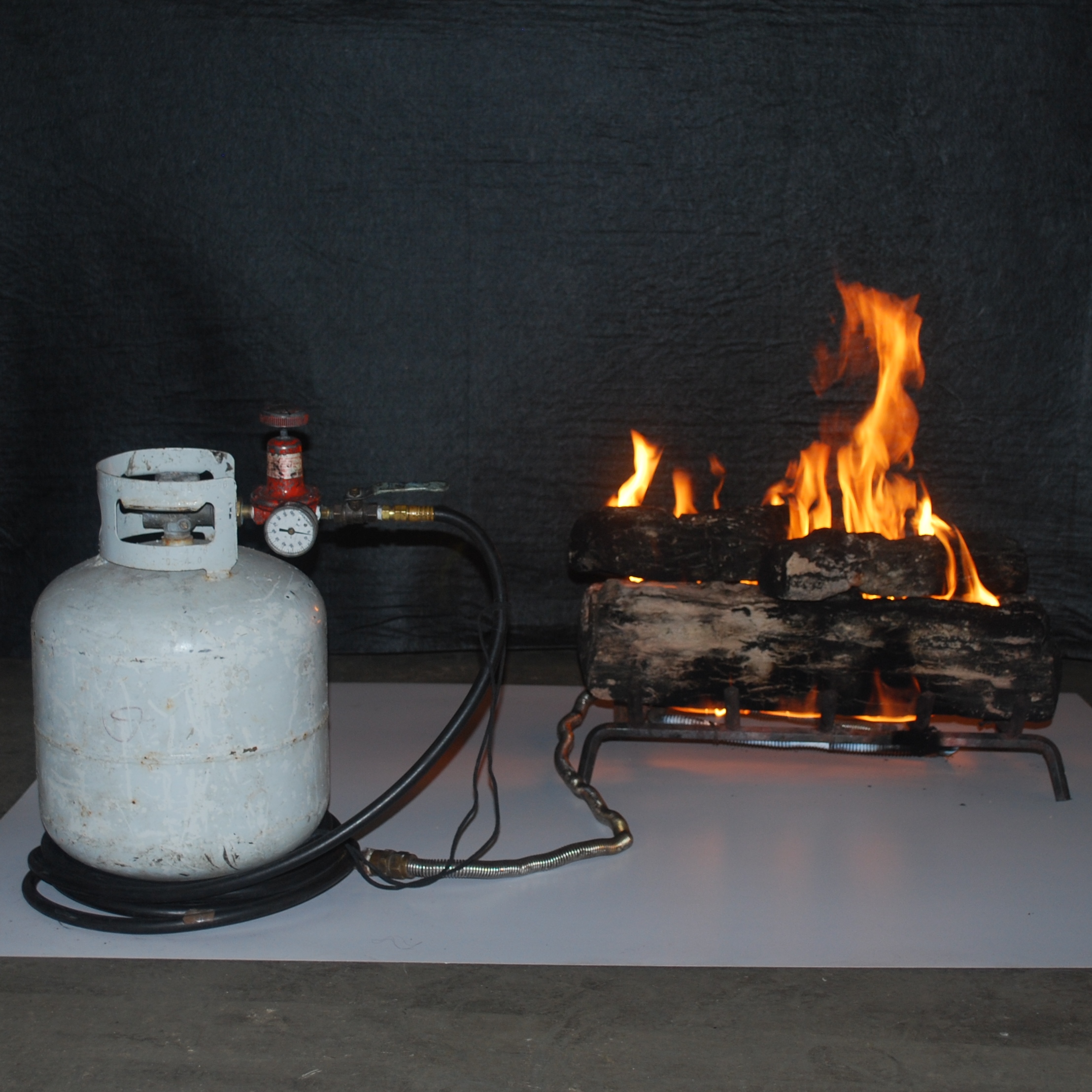 Indoor Propane Fireplace Wayfair