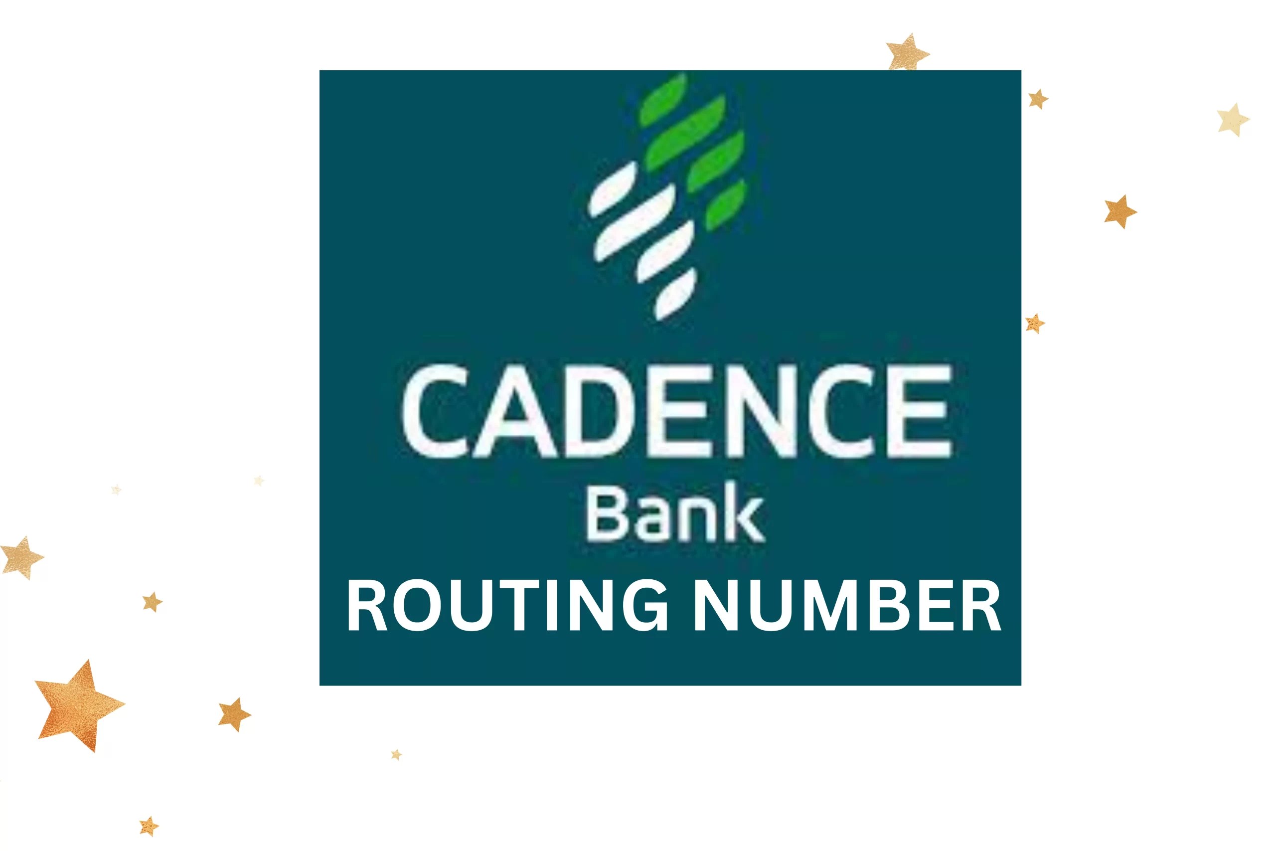 Bank routing number 084201278