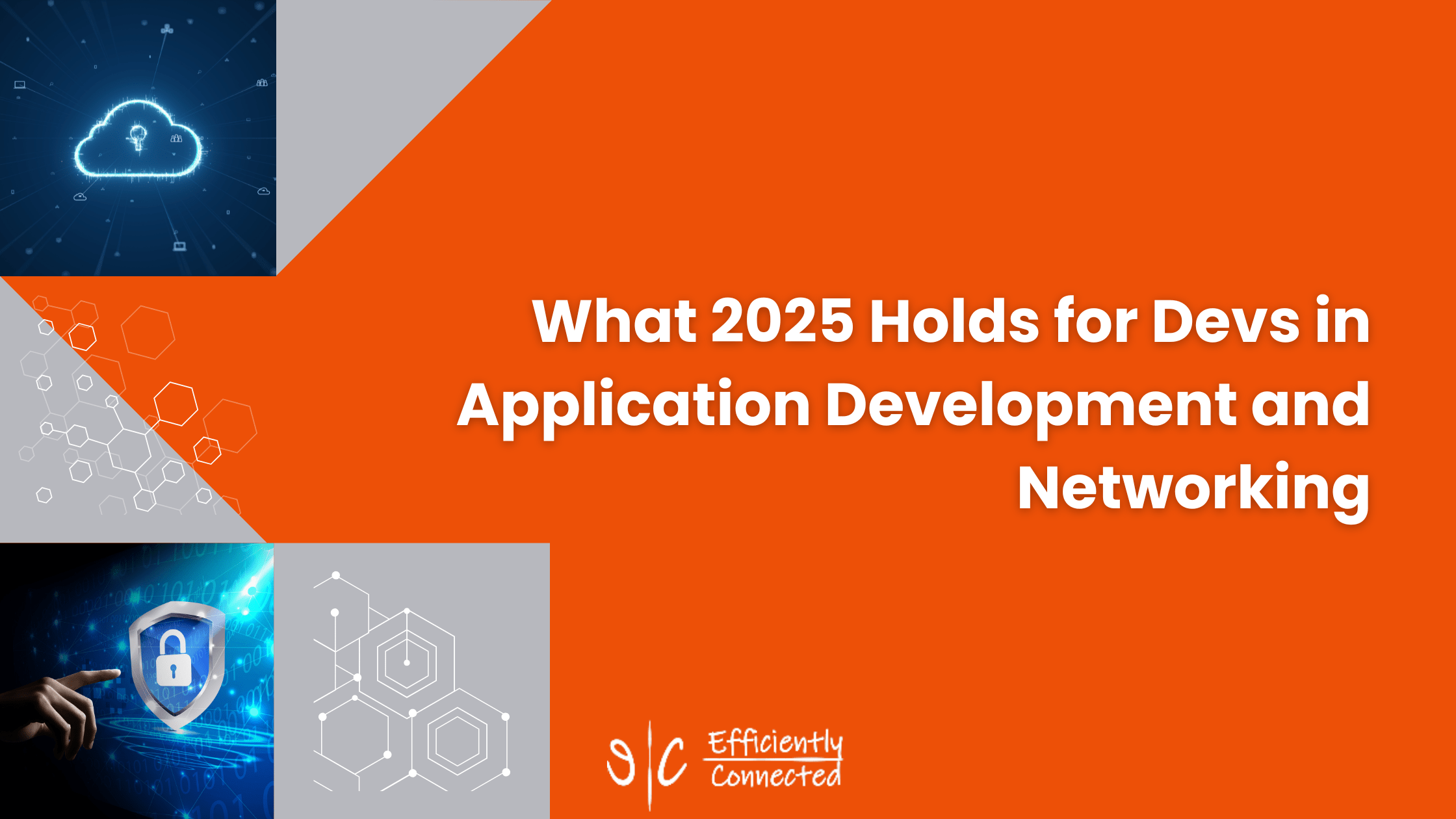What 2025 Holds for Devs in Application Development and Networking