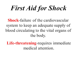 First Aid Shock Health Safety Environment