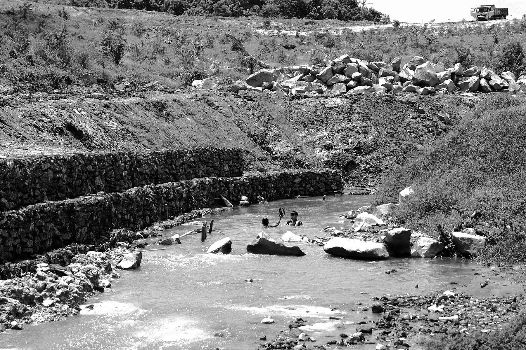 Rafael Miku Beding/Project M