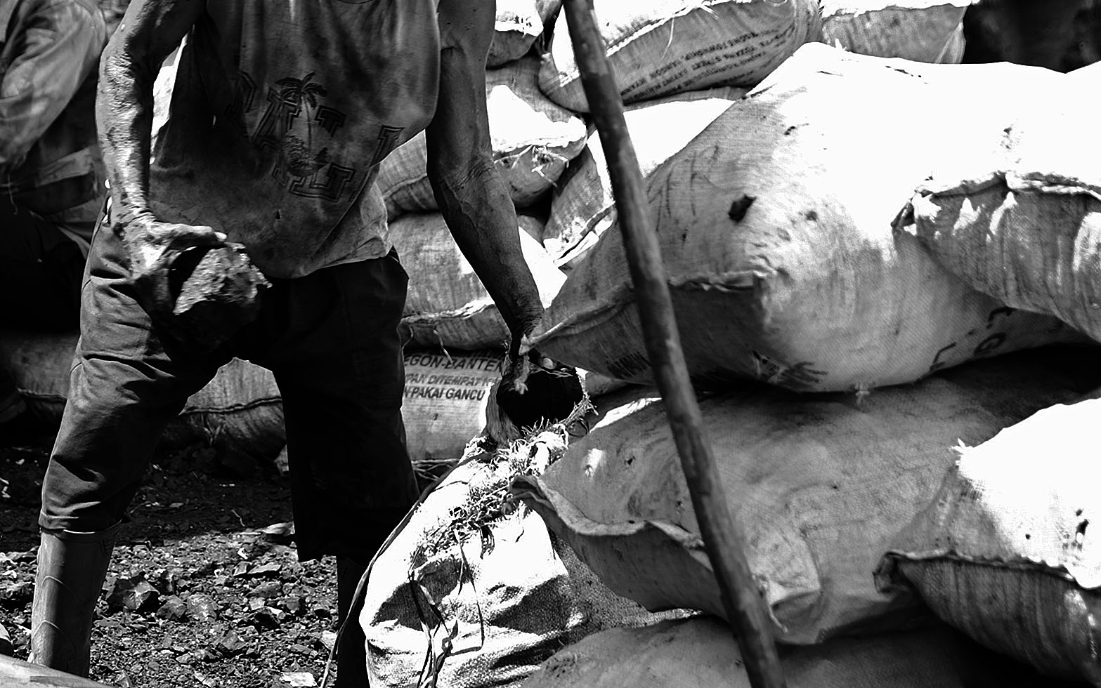 Rafael Miku Beding/Project M