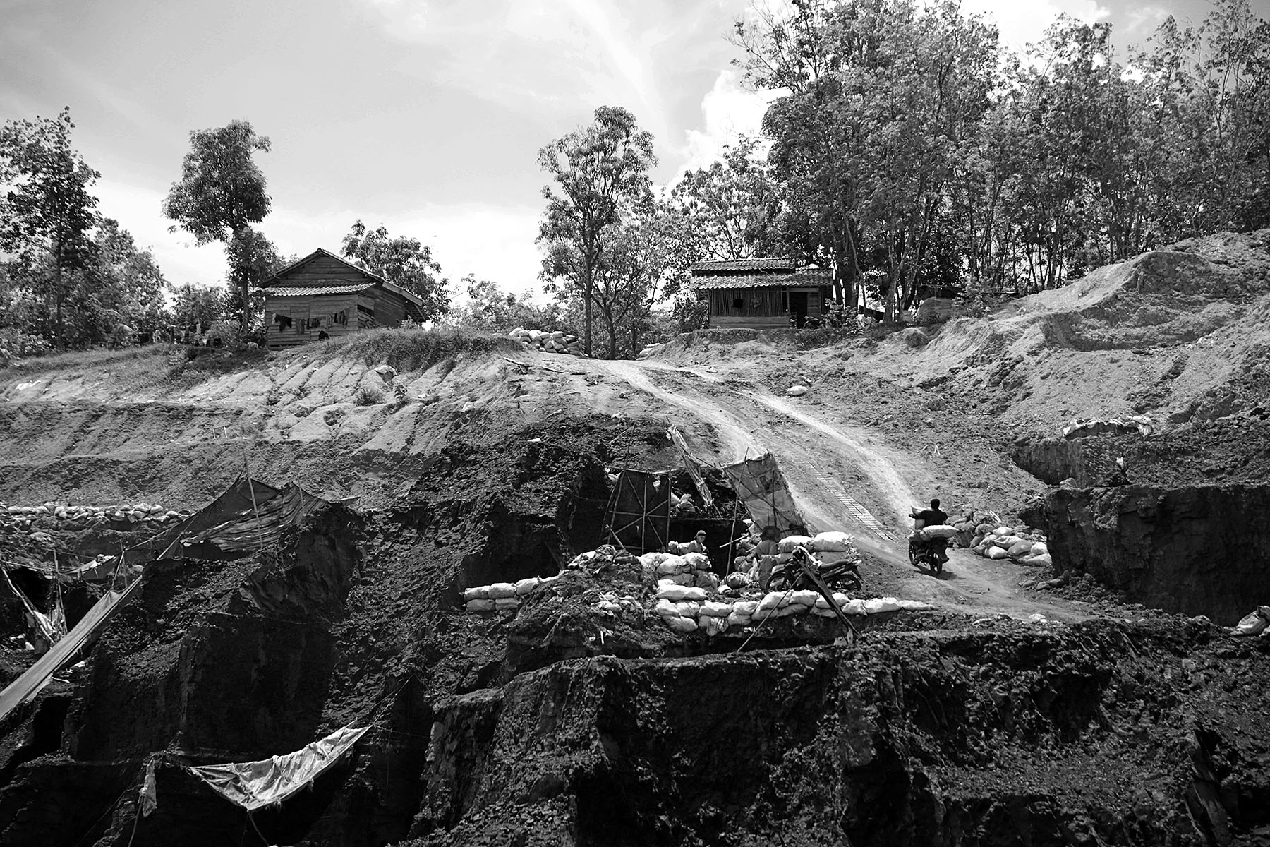 Rafael Miku Beding/Project M