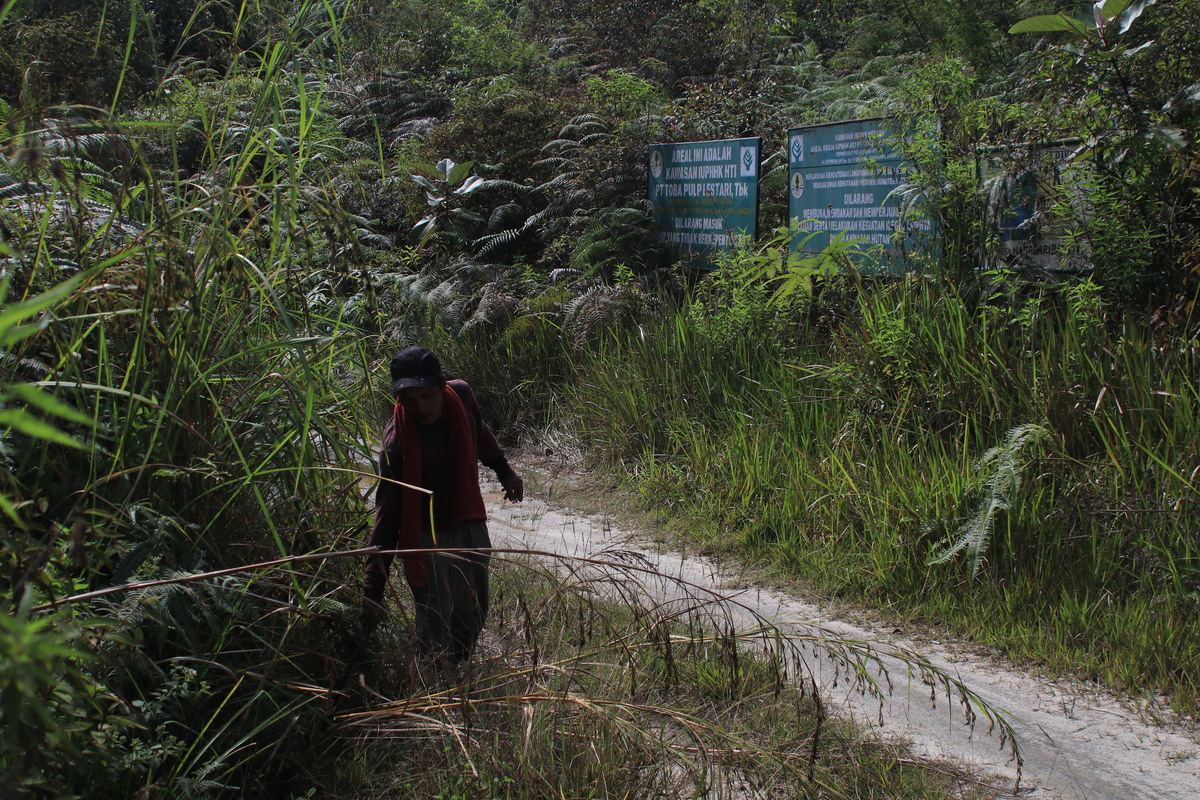 Nikson Sinaga/Kompas