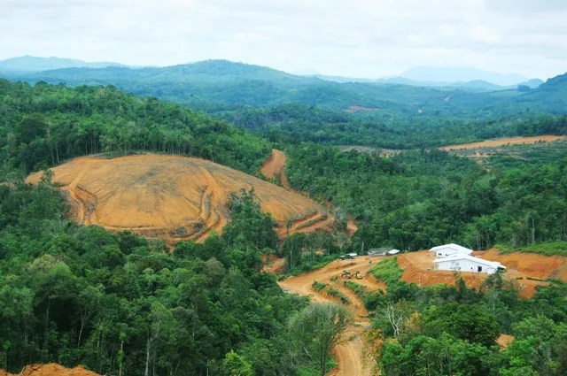 Kondisi alam Kalimantan Barat. (Walhi Kalimantan Barat) bencana alam
