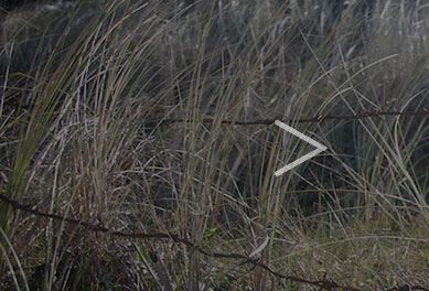 How To Make An Elegant Sliding Image Gallery With Jquery - Amazing Dark Image - 4K