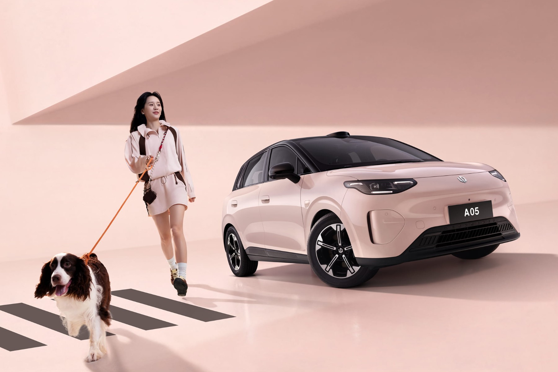 Leapmotor A05 vs Geely E2: Electric Car Battle! | Compact EVs Compared (2026)