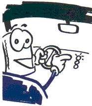 Car battery indicator