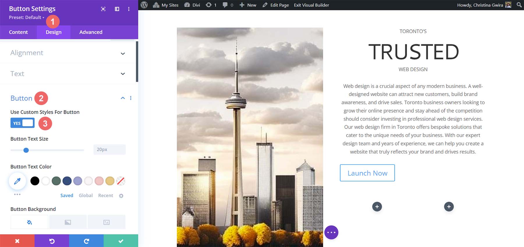 Begin to set custom styles for button