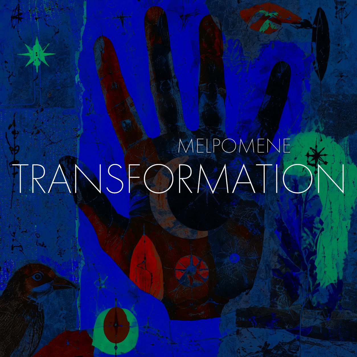 08-TransformationHover