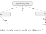 Implementing Decision Trees With The C4 5 Algorithm Part 4 Elements