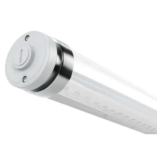 Intubon LED